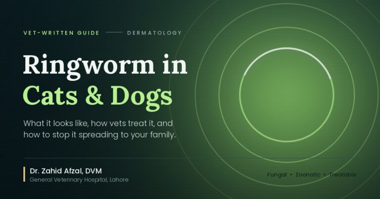 Ringworm in cats and dogs vet guide banner with Wood's lamp green glow and ring-shaped lesion diagram